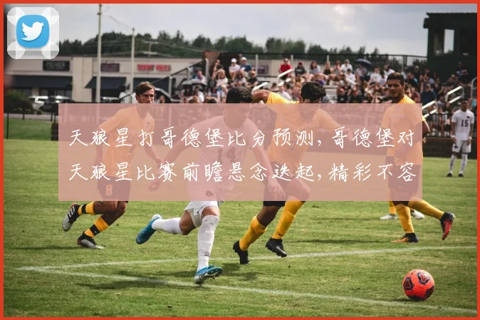 天狼星打哥德堡比分预测,哥德堡对天狼星比赛前瞻悬念迭起,精彩不容错过